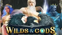 Wilds & Gods