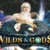 Wilds & Gods