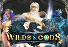 Wilds & Gods